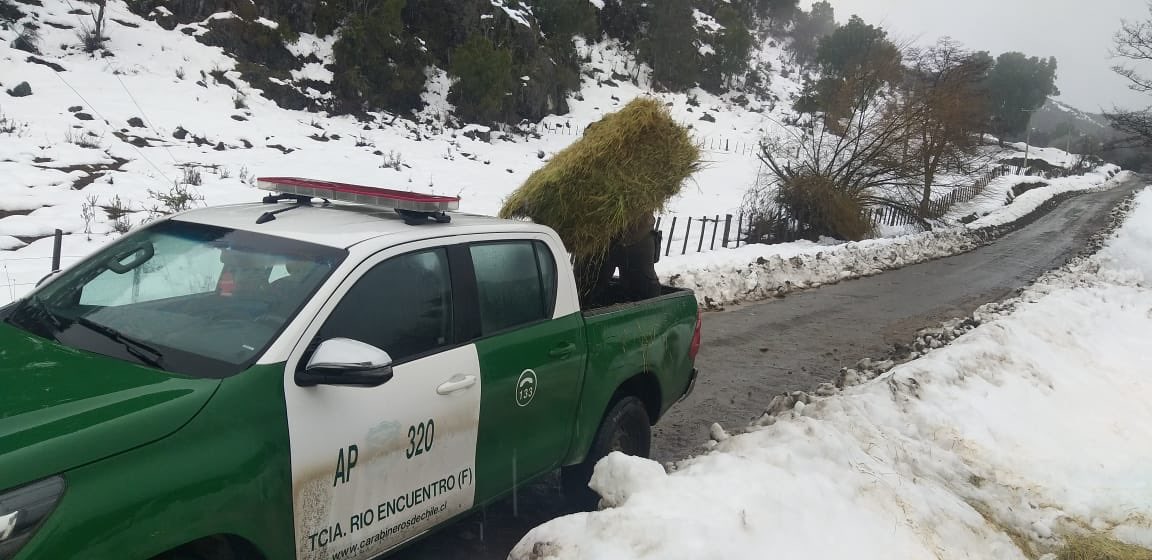 Ayuda a Vecinos de Palena