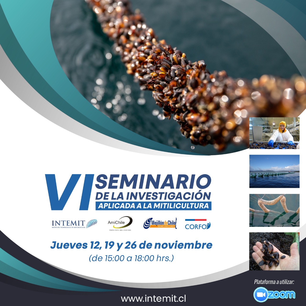 Seminario Mitilicultura 2020