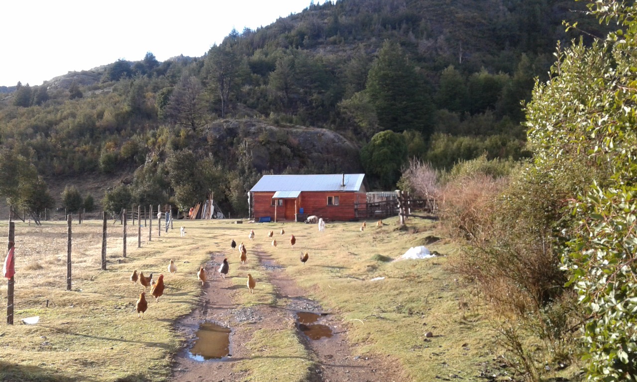 FAMILIAS DE SECTOR RURAL DE PALENA CONTARÁN CON LUZ ELÉCTRICA