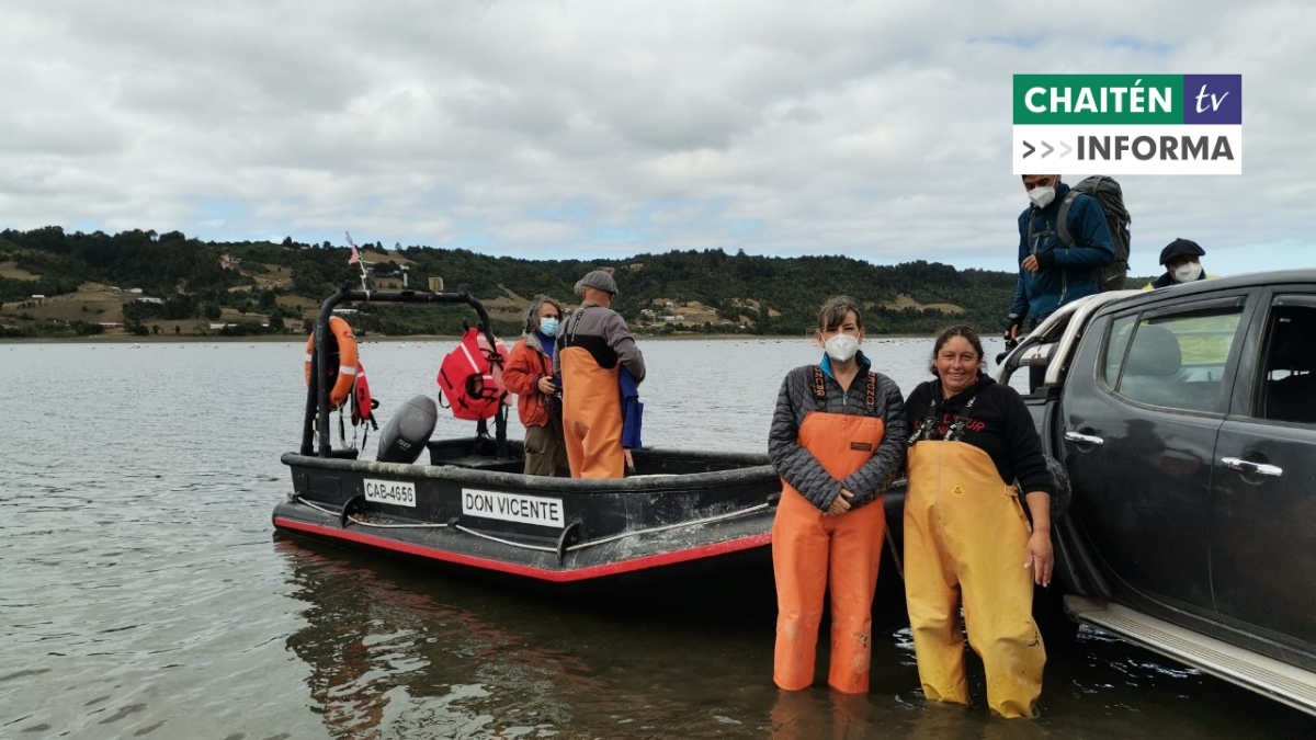 Subpesca, Corfo Y Sernapesca Destacan El Trabajo De Mitilicultoras De La Región