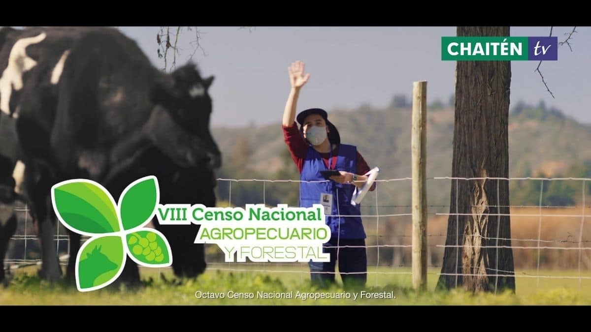 Finaliza Con Éxito Censo Agropecuario En La Región De Los Lagos