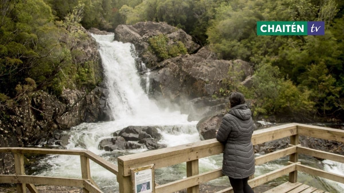 Plan De Manejo Del Parque Nacional Alerce Andino