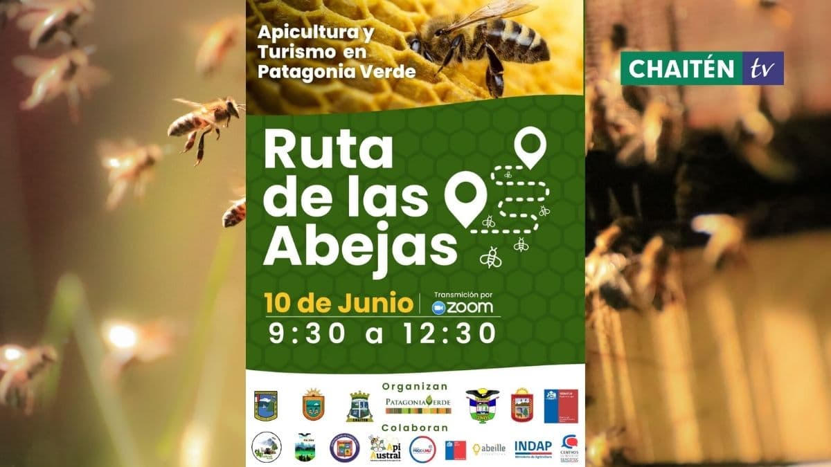 Seminario “Ruta De Las Abejas”