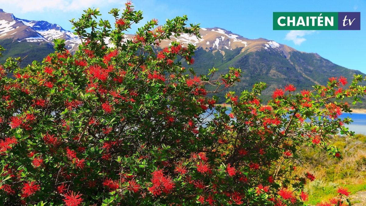 ¿Cuándo Empieza La Primavera?