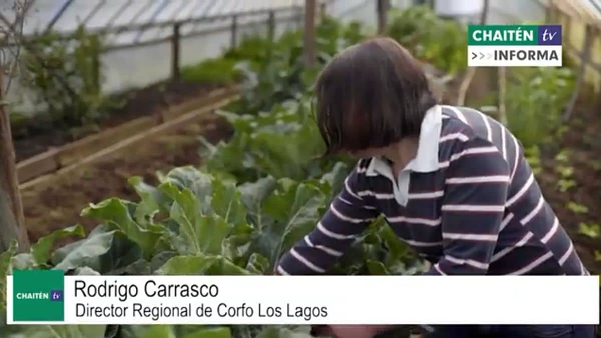 Potenciarán Agroecología En Ruta De Los Parques