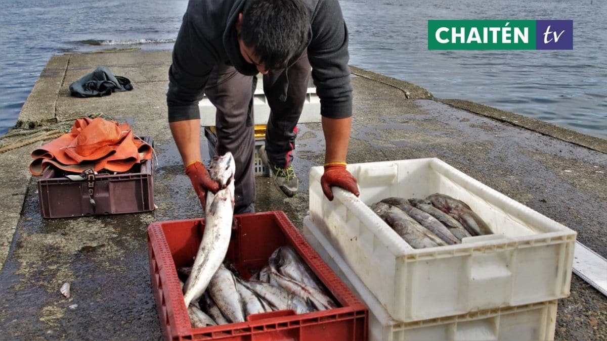 INDESPA Abre Programa En Apoyo A Pescadores Artesanales