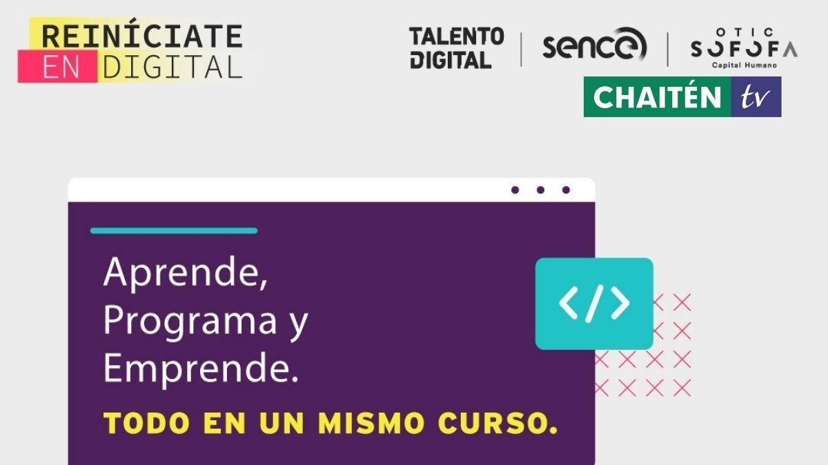 Más De Mil Becas De Estudio Para Cubrir Áreas Digitales