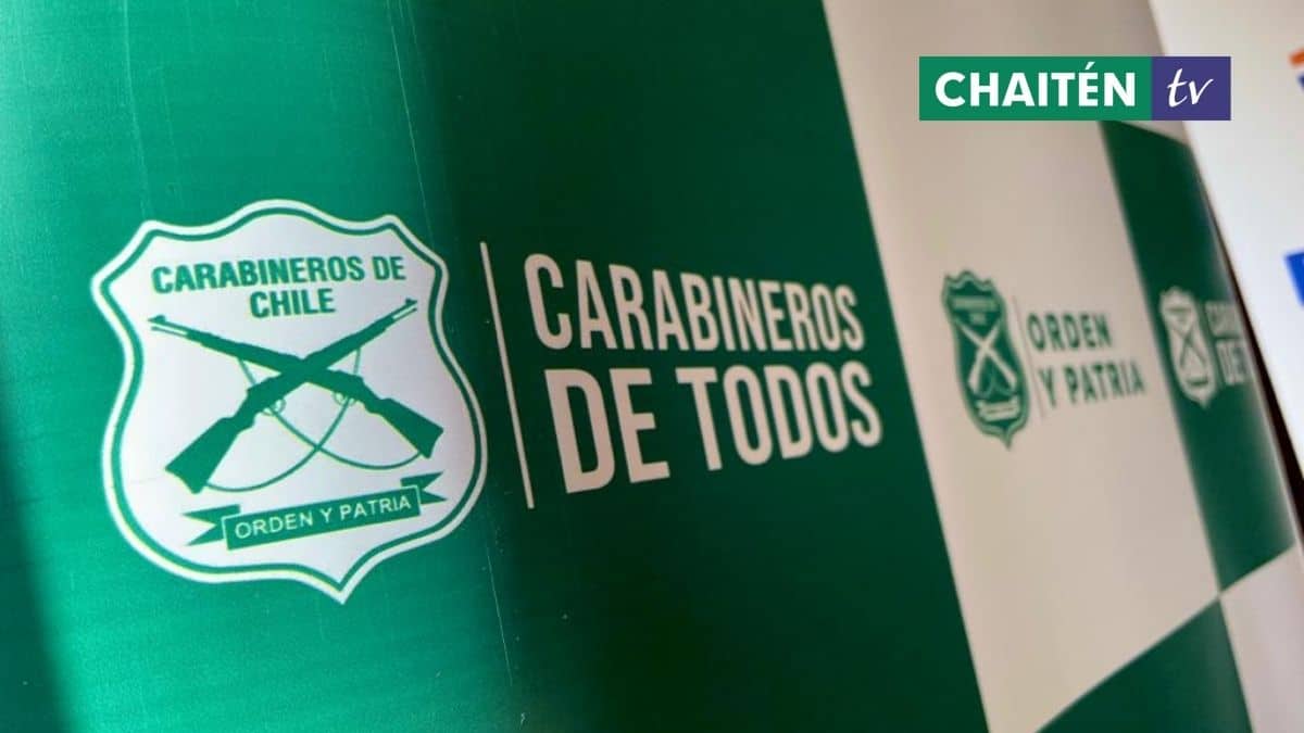 Proyecto De Ley Extiende Carrera Profesional De Carabineros