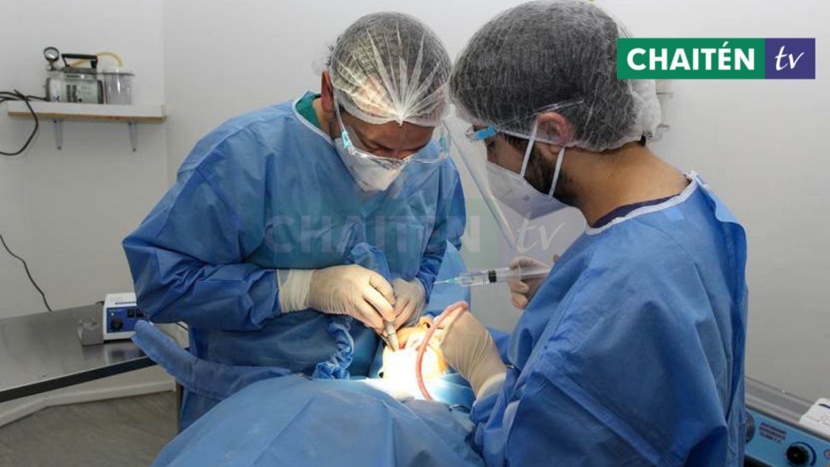 Reducen Lista De Espera De Odontológica Con Equipos Móviles