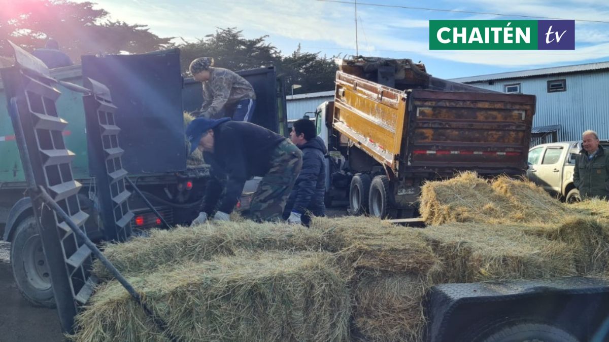 Agrollanquihue Ayuda A Agricultores Afectados Por Fuertes Nevazones