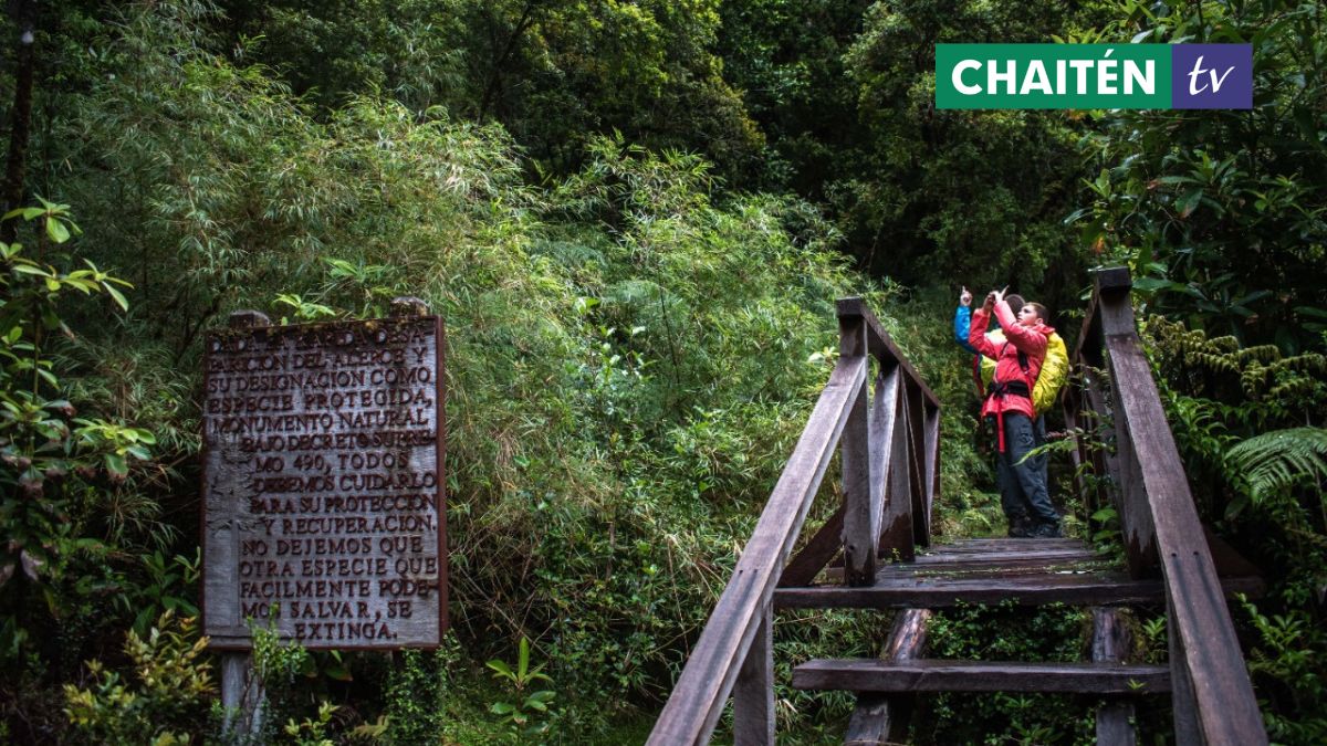 Fundación Rewilding Chile Firma Acuerdo Con Sernatur Y Conaf