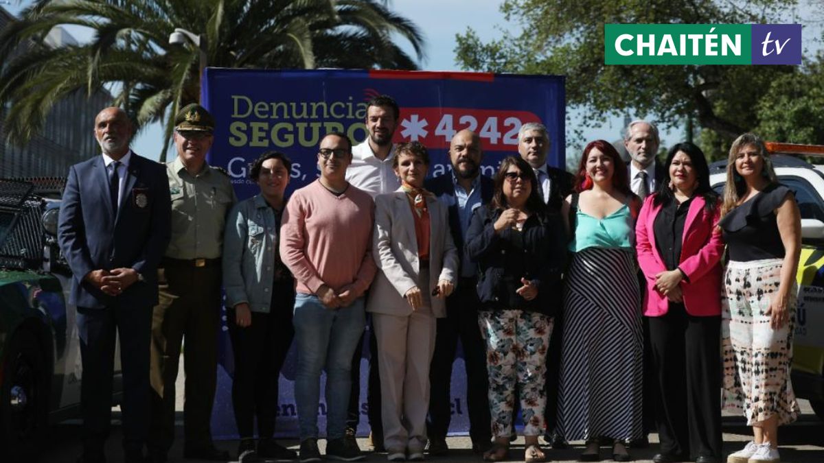 Lanzan Nuevo Número Del Programa Denuncia Seguro 4242, Es Gratuito Y 24/7