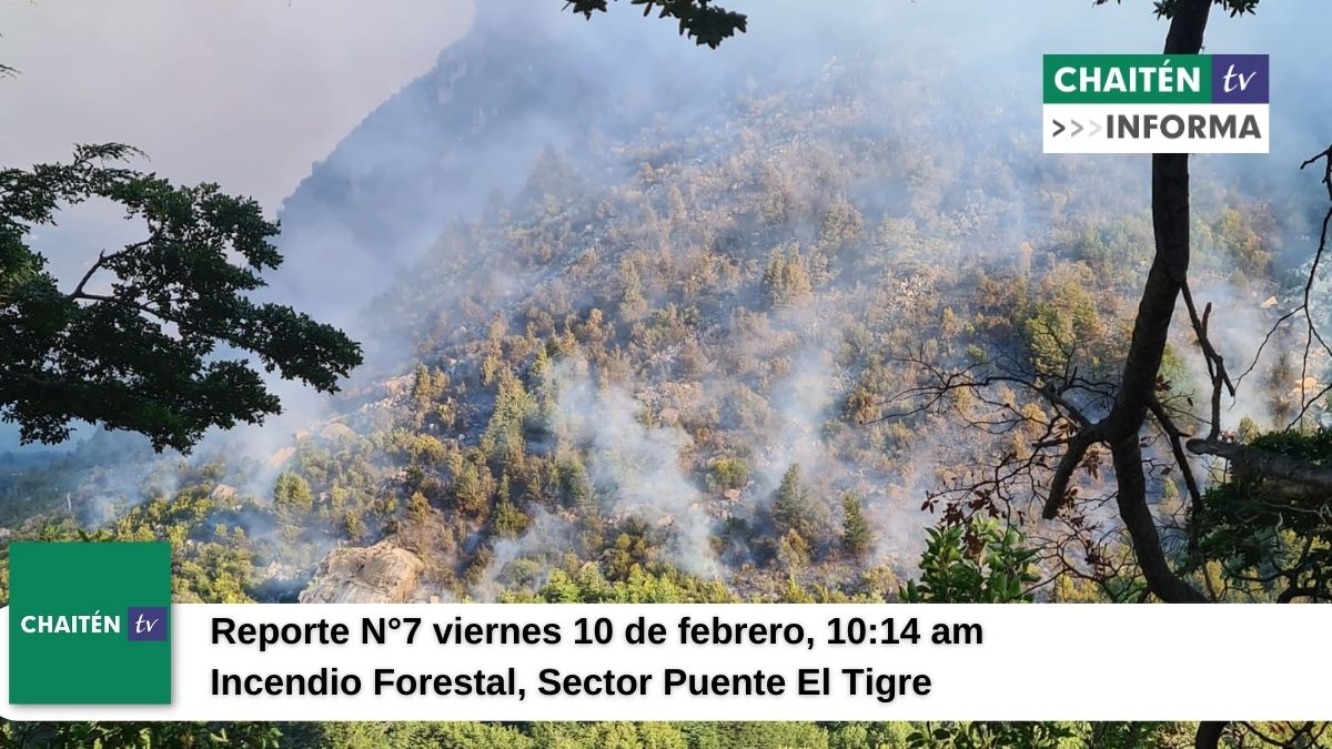 Reporte N°7  Incendio Forestal  Sector Puente El Tigre Palena