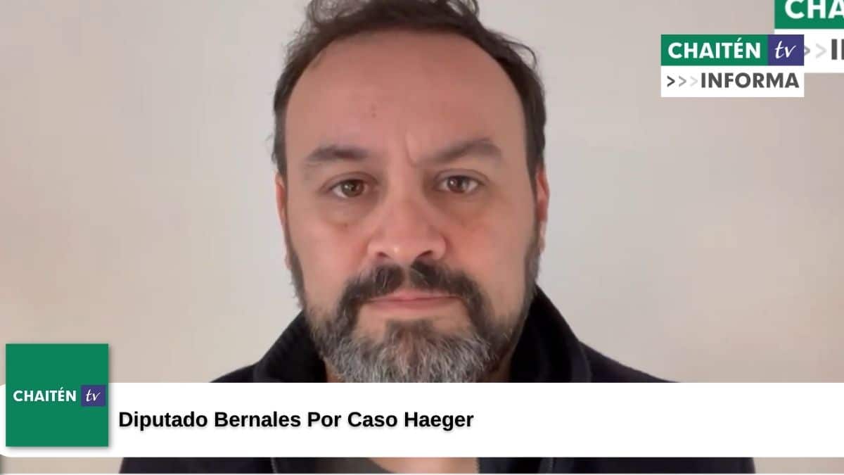 Diputado Bernales Por Caso Haeger