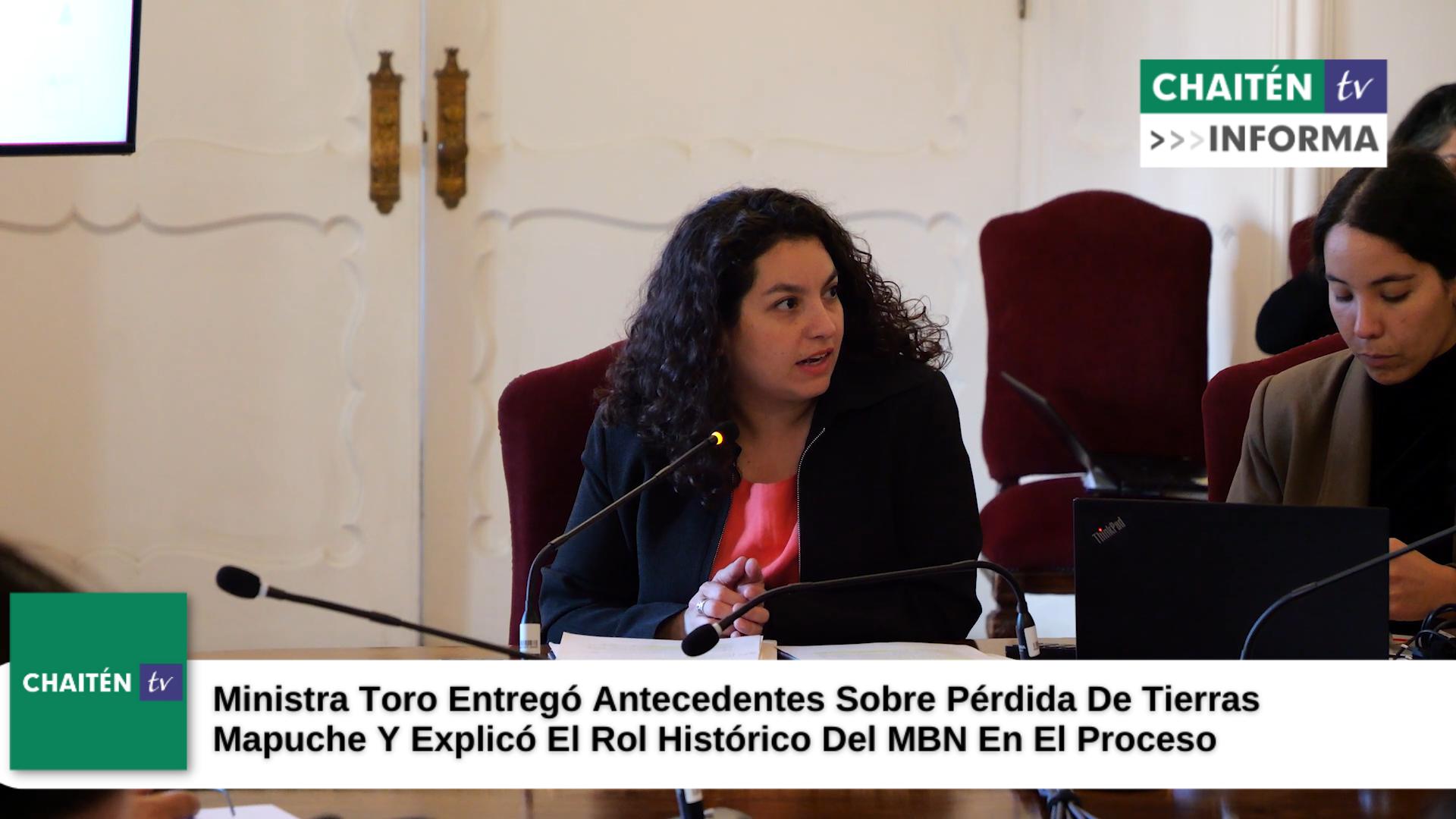 Ministra Toro Entregó Antecedentes Sobre Pérdida De Tierras Mapuche Y Explicó El Rol Histórico Del MBN En El Proceso