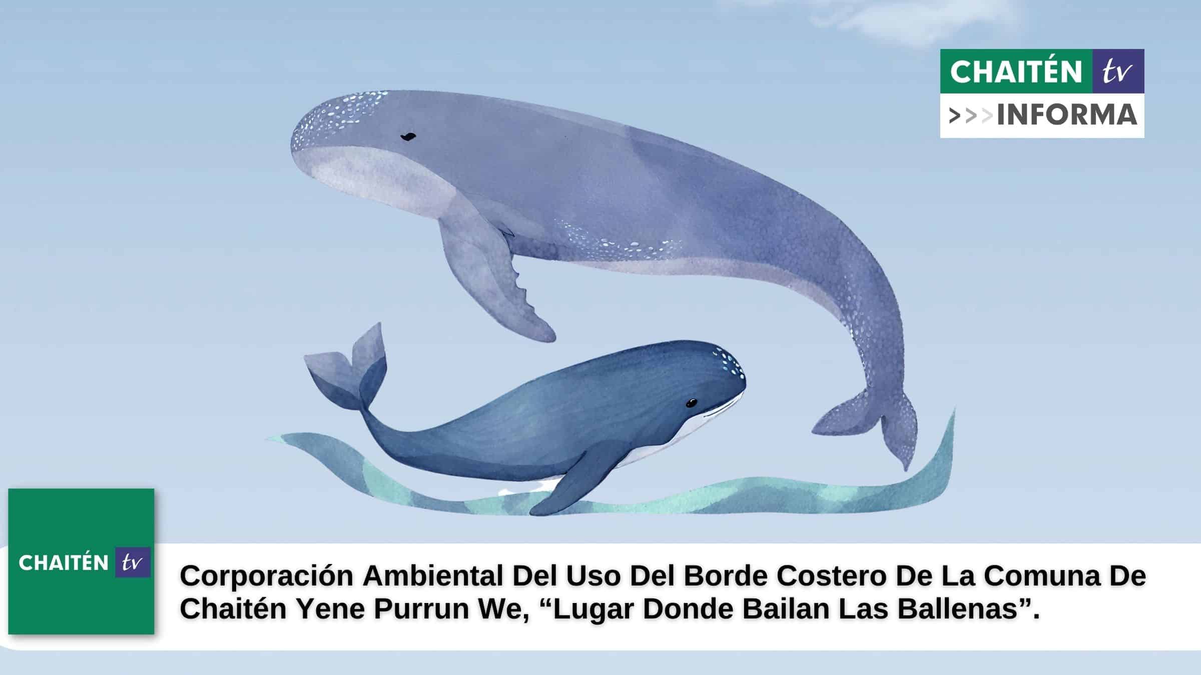 Corporación Ambiental Del Uso Del Borde Costero De La Comuna De Chaitén Yene Purrun We, Que Significa “Lugar Donde Bailan Las Ballenas”.