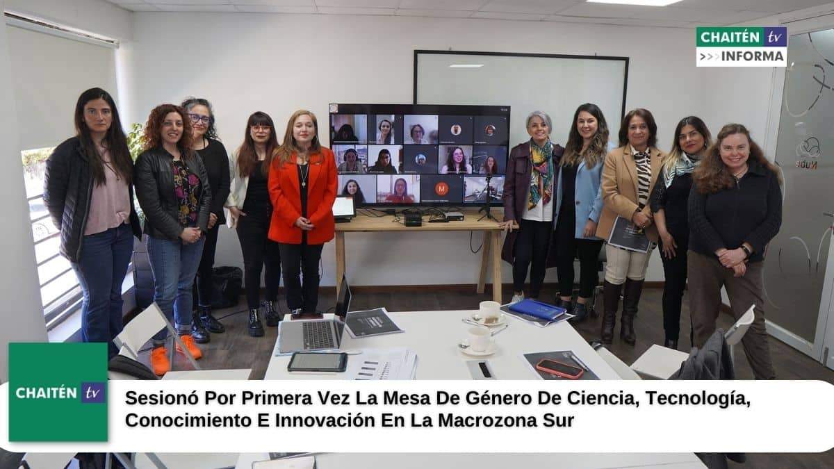 Sesionó Por Primera Vez La Mesa De Género De Ciencia, Tecnología, Conocimiento E Innovación En La Macrozona Sur