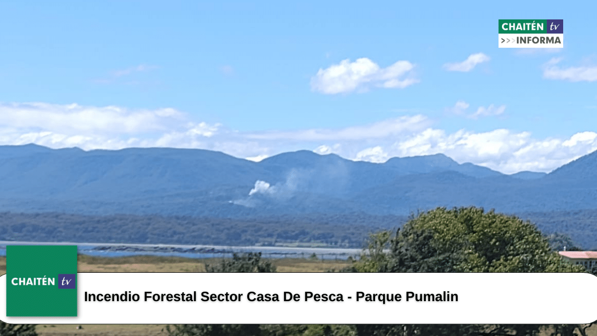 Incendio Forestal Sector Casa De Pesca – Parque Pumalin