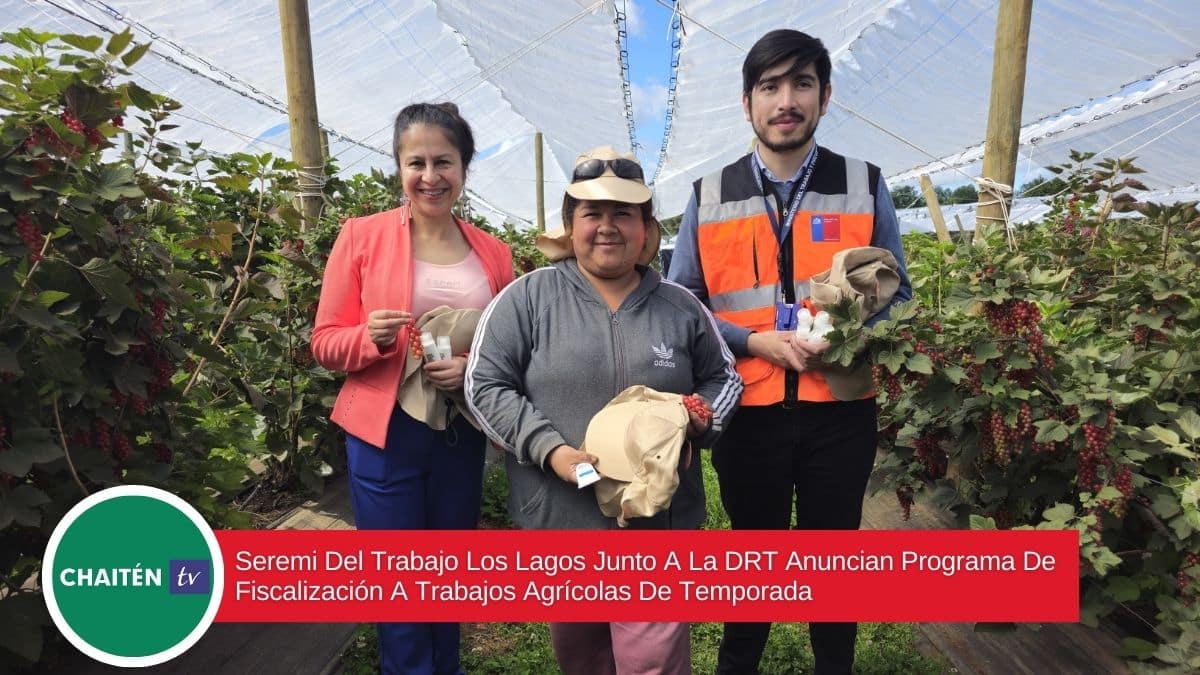 Seremi Del Trabajo Los Lagos Junto A La DRT Anuncian Programa De Fiscalización A Trabajos Agrícolas De Temporada