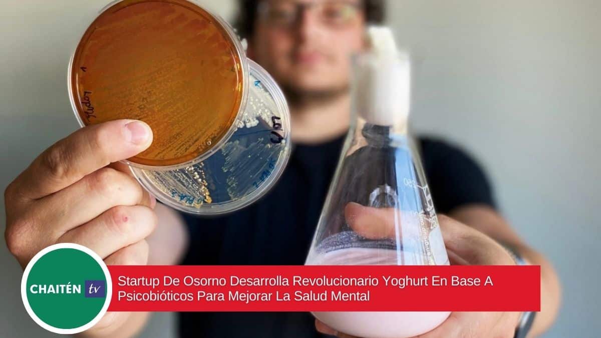 Startup De Osorno Desarrolla Revolucionario Yoghurt En Base A Psicobióticos Para Mejorar La Salud Mental