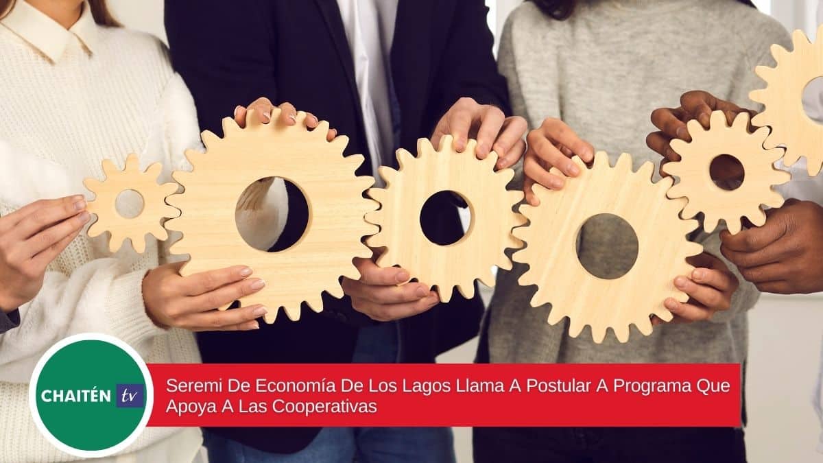 Seremi De Economía De Los Lagos Llama A Postular A Programa Que Apoya A Las Cooperativas