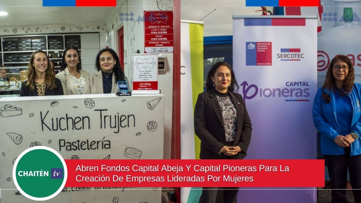 Abren Fondos Capital Abeja Y Capital Pioneras Para La Creación De Empresas Lideradas Por Mujeres