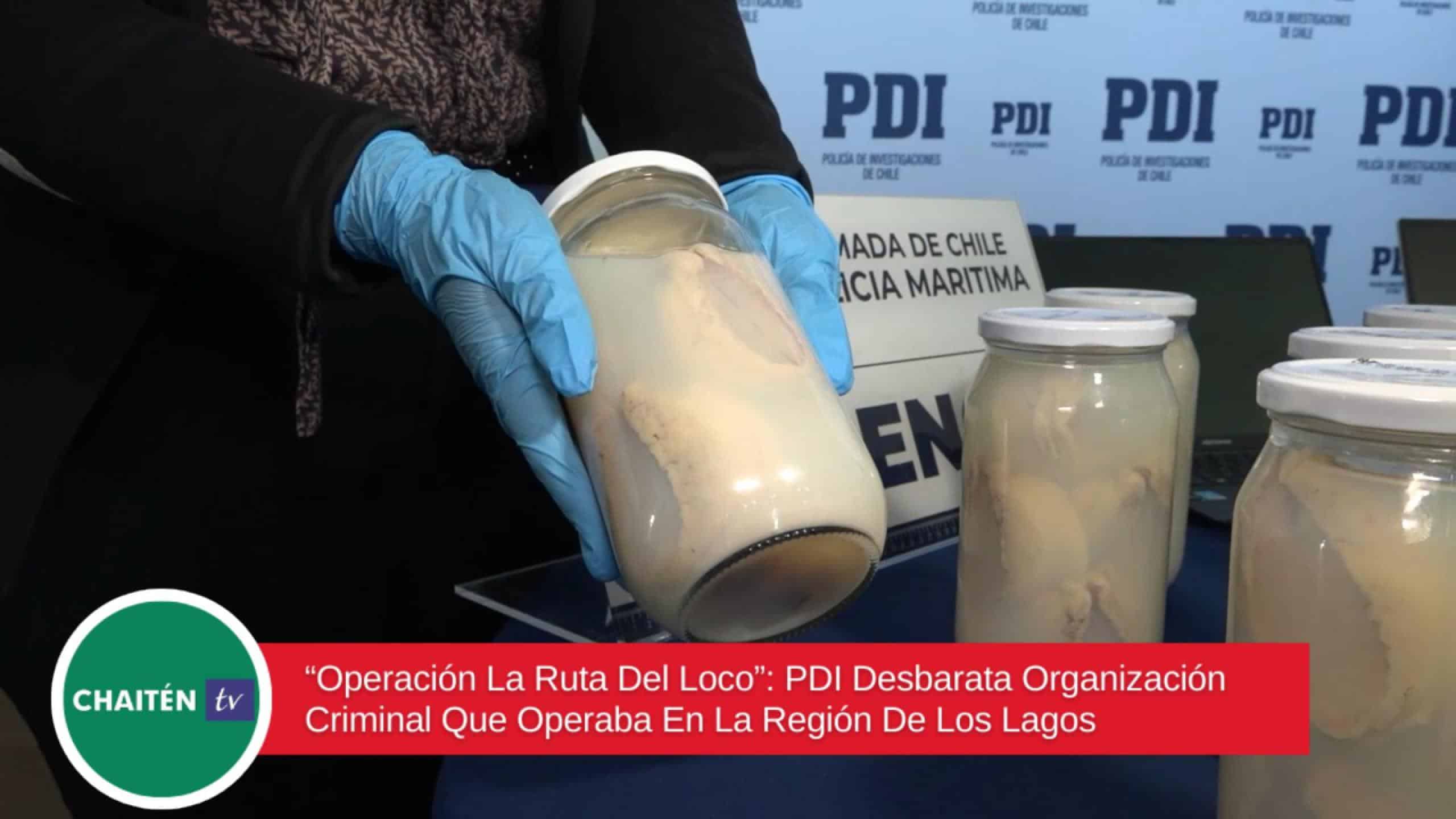 “Operación La Ruta Del Loco”: PDI Desbarata Organización Criminal Que Operaba En La Región De Los Lagos