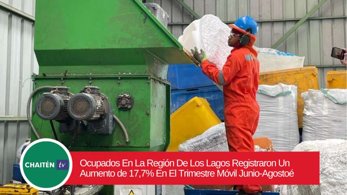 Encuesta De Empleo: Ocupados En La Región De Los Lagos Registraron Un Aumento de 17,7% En El Trimestre Móvil Junio-Agosto