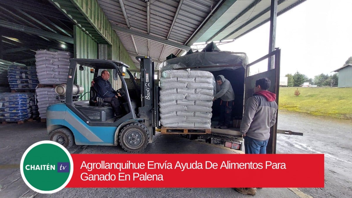 Agrollanquihue Envía Ayuda De Alimentos Para Ganado En Palena