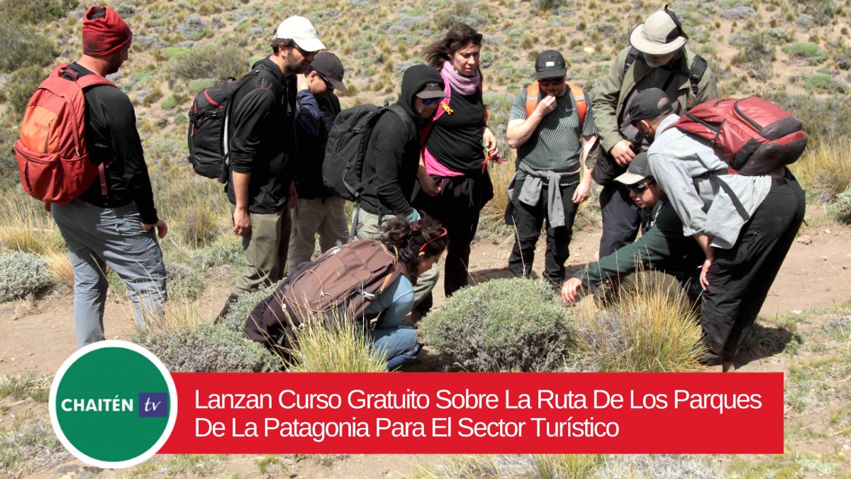 Lanzan Curso Gratuito Sobre La Ruta De Los Parques De La Patagonia Para El Sector Turístico