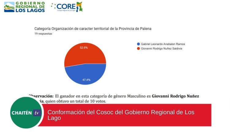 COSOC GORE Los Lagos: Resultados de Votación 2024 y Representantes Electos