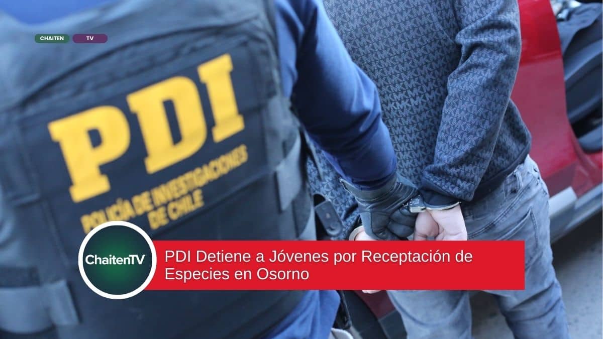 PDI Detiene a Jóvenes por Receptación de Especies en Osorno